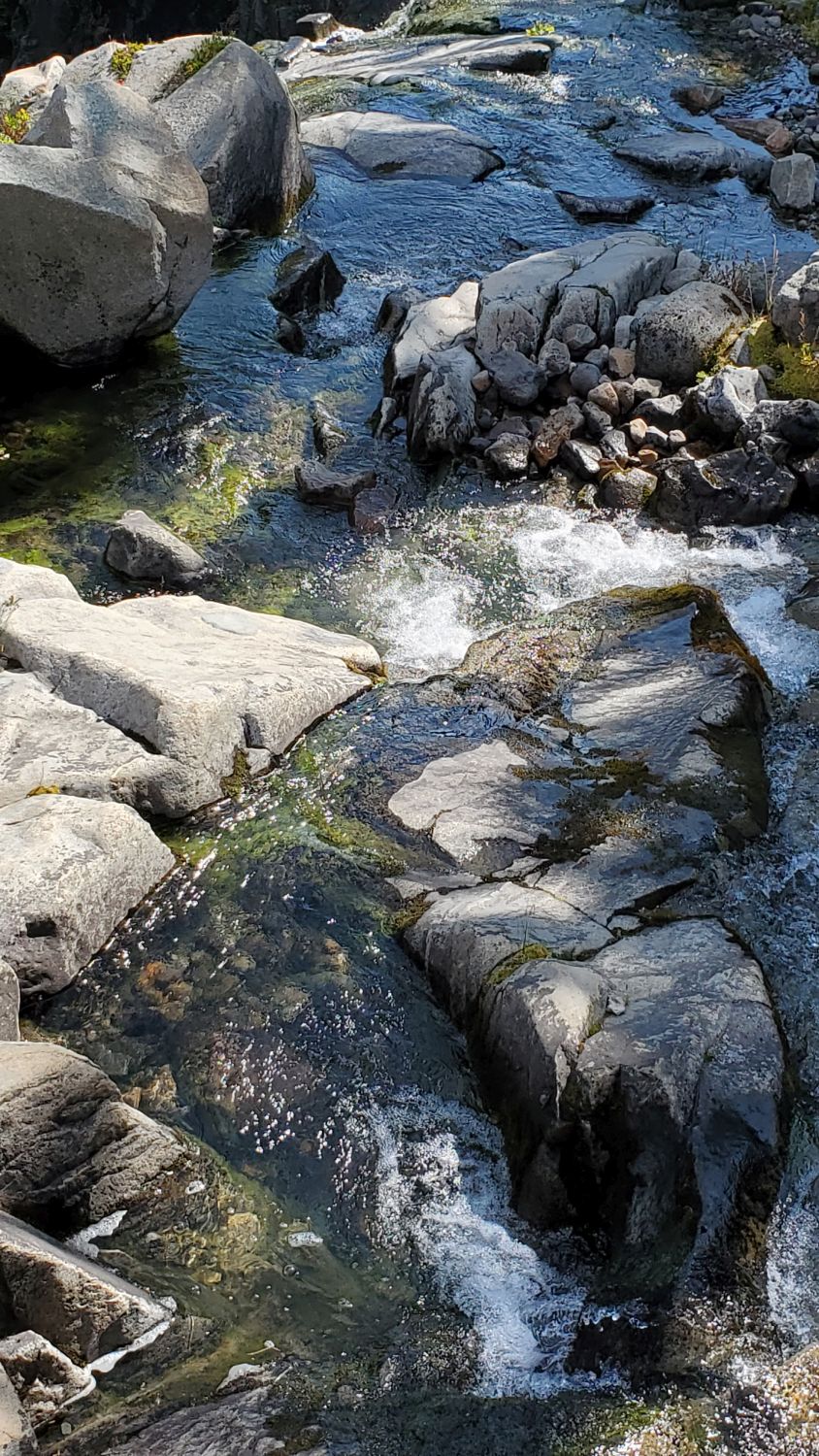 Mount Rainier NP 